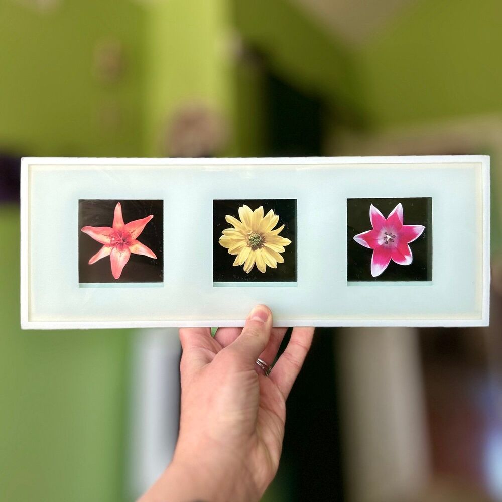 Floral Glass Front Cottagecore Flower Wall Sign Decor
